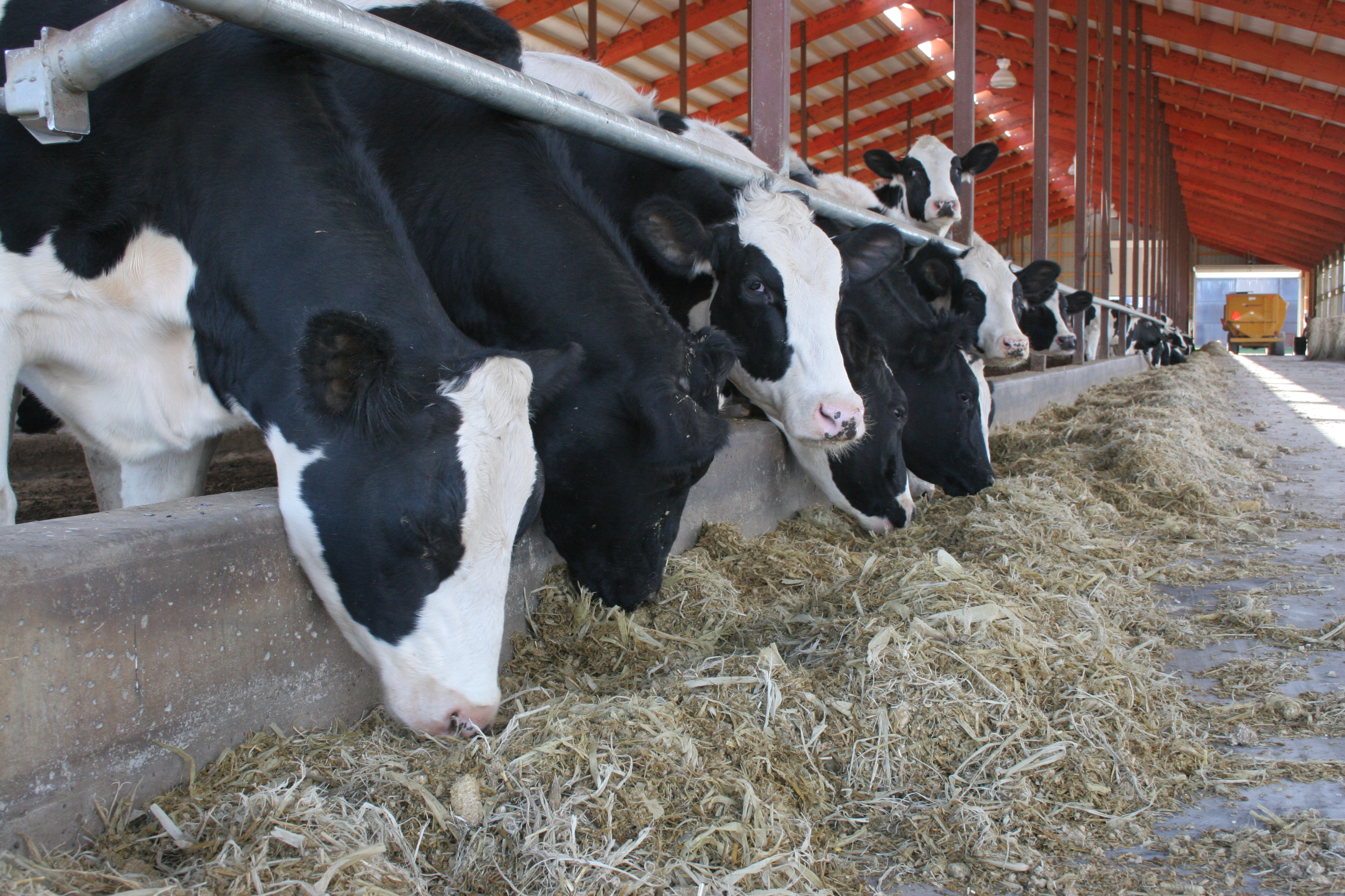 The Family Farm of the Future